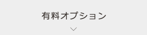 有料オプション