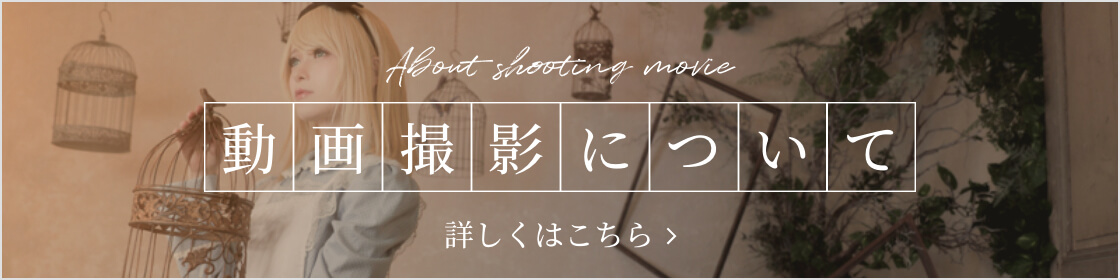 動画撮影について