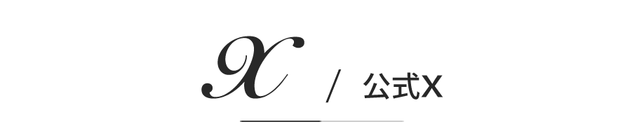 公式X